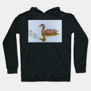 Female Blue-winged Teal Hoodie